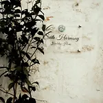 Harmony Daire
